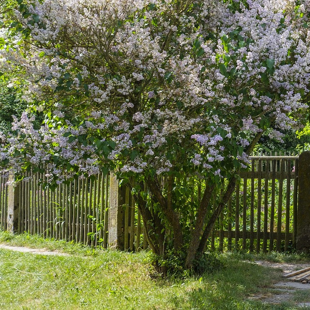 oven stove repair technician